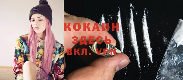твердый Михайлов