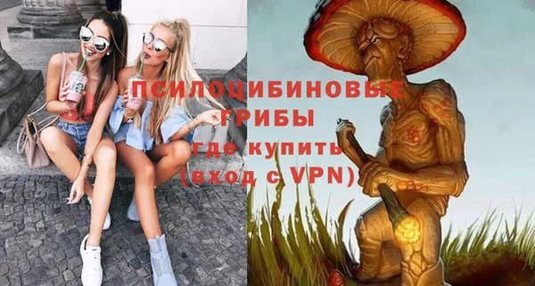 дурь Михайловск