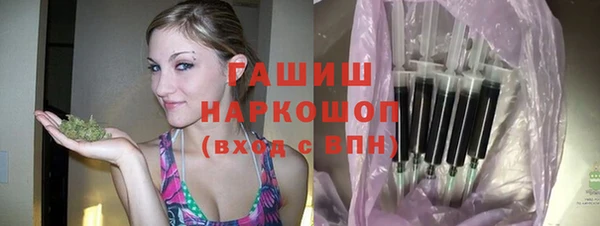 твердый Михайлов