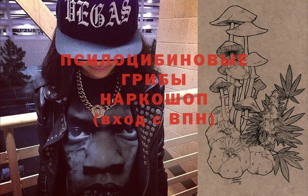 дурь Михайловск