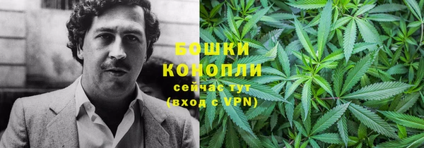 твердый Михайлов
