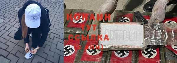 твердый Михайлов