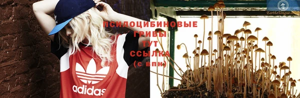 твердый Михайлов