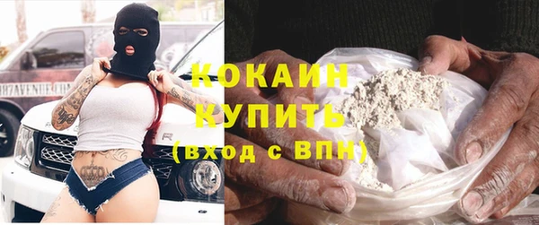твердый Михайлов