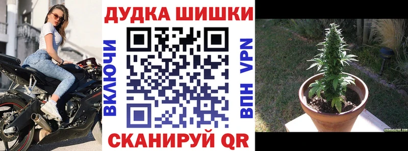 Бошки Шишки ГИДРОПОН  Саянск 